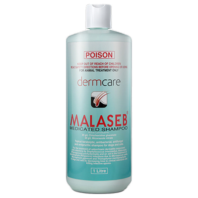 Dermcare Malaseb Shampoo