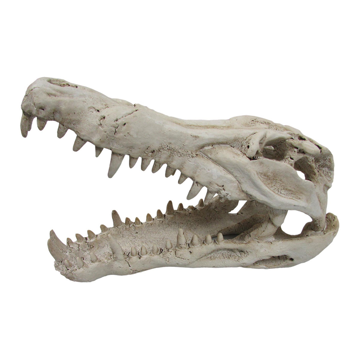 iPetz Croc Skull Reptile Accessory