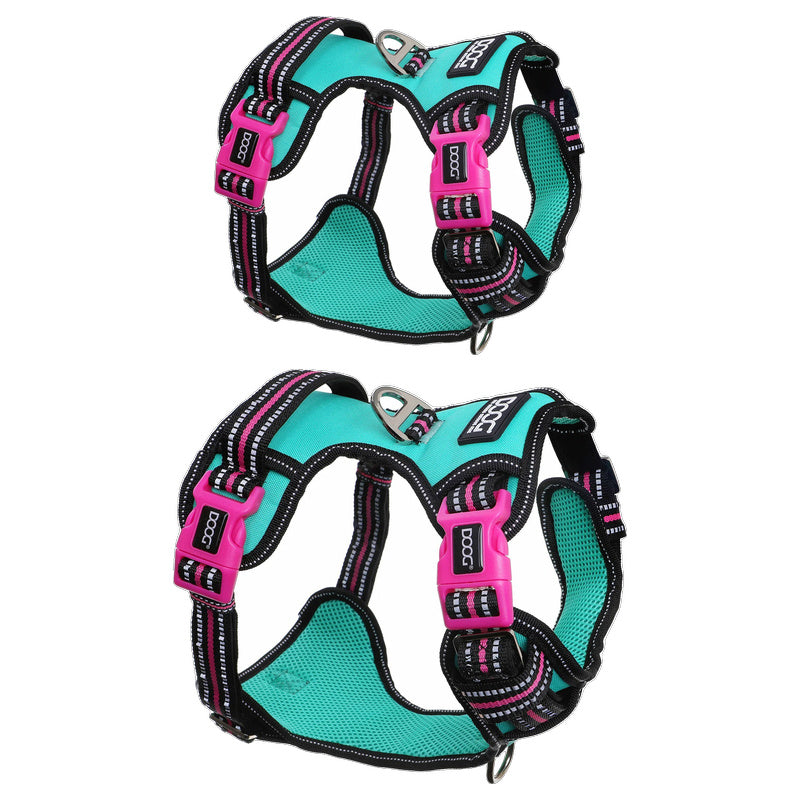 Doog Rin Tin Tin Neotech Dog Harness