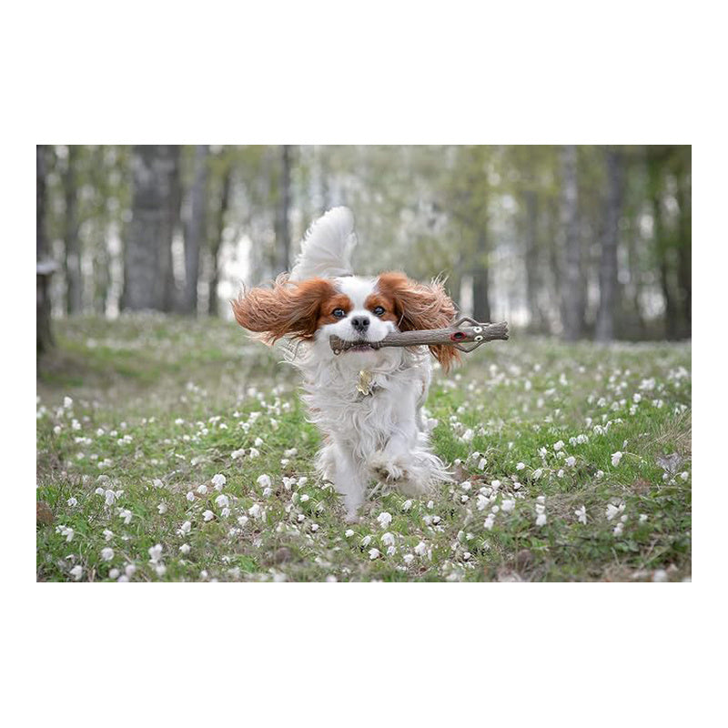DOOG Supersticks Captain Fantastic Dog Toy (28cm)