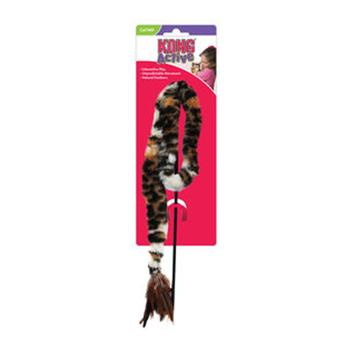 Kong Swizzle Bird Cat Toy
