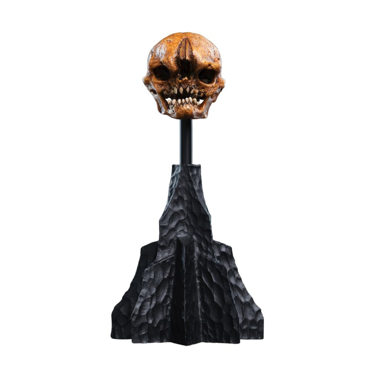 The Hobbit Skull of a Misty Mountain Goblin Miniature
