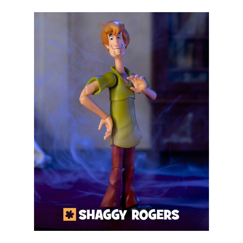 Scooby-Doo! Shaggy 6" Action Figure