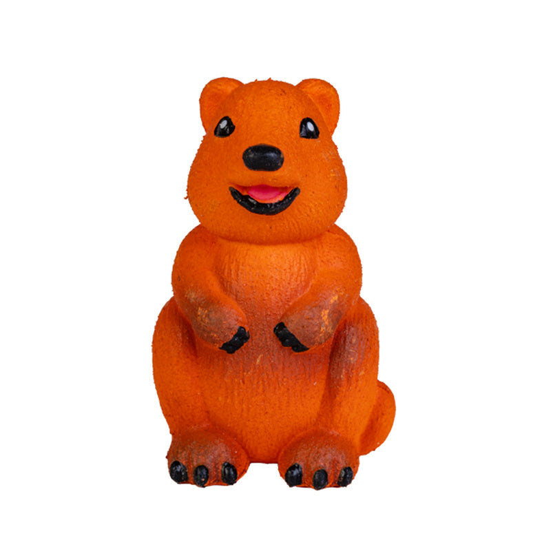 Grow a Quokka Toy