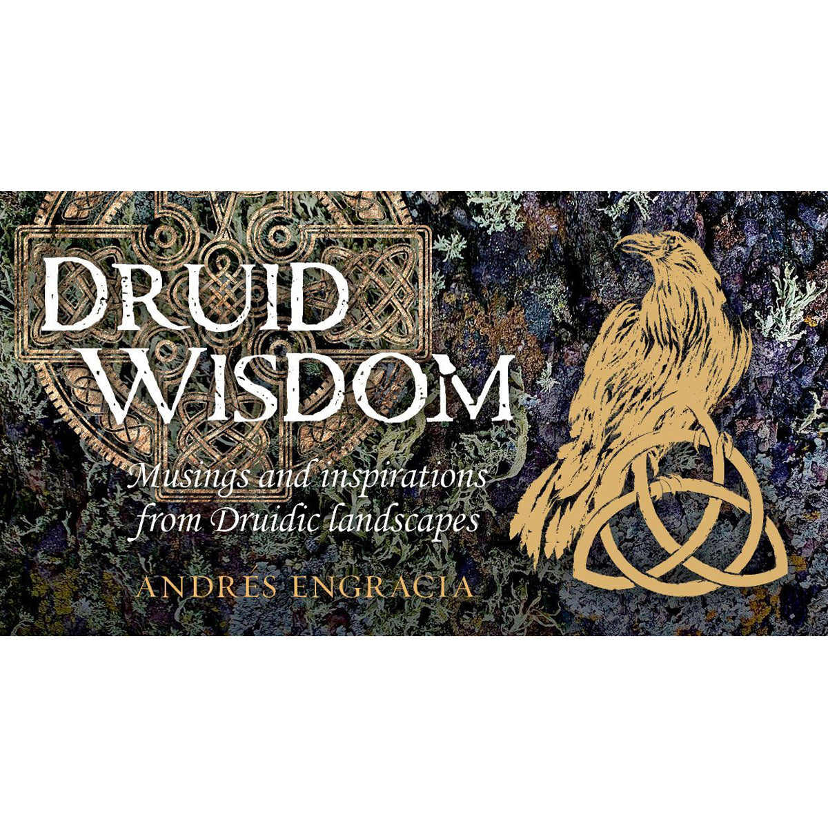 Druid Wisdom: Celtic Oracle Cards