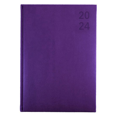 Collins Debden Silhouette A5 DTP 2024 Diary