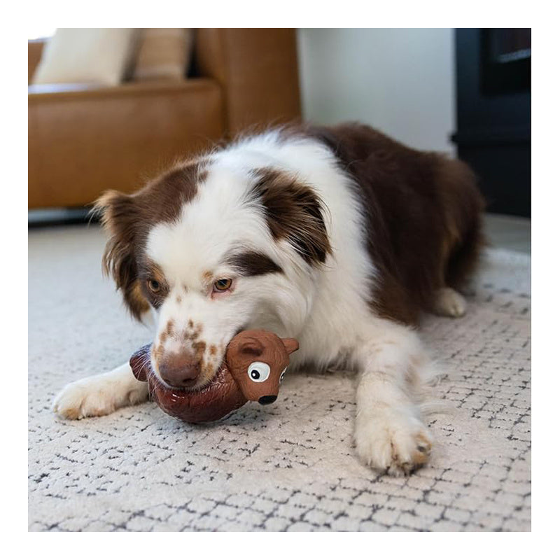 Outward Hound Tootiez Rubber Grunter Bear Toy (Small)