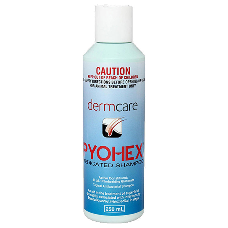 Dermcare Pyohex Shampoo