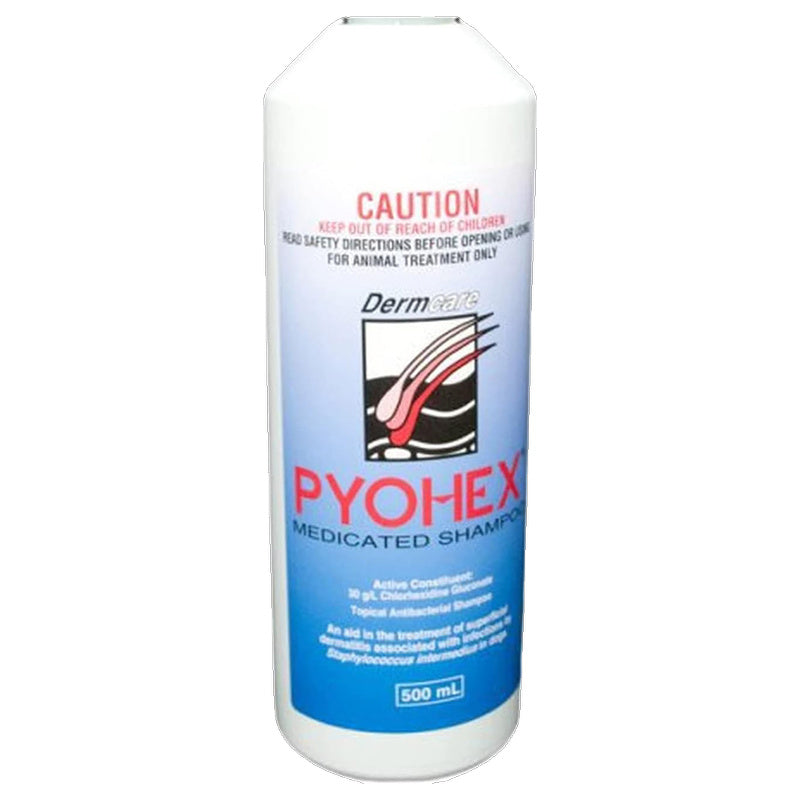 Dermcare Pyohex Shampoo
