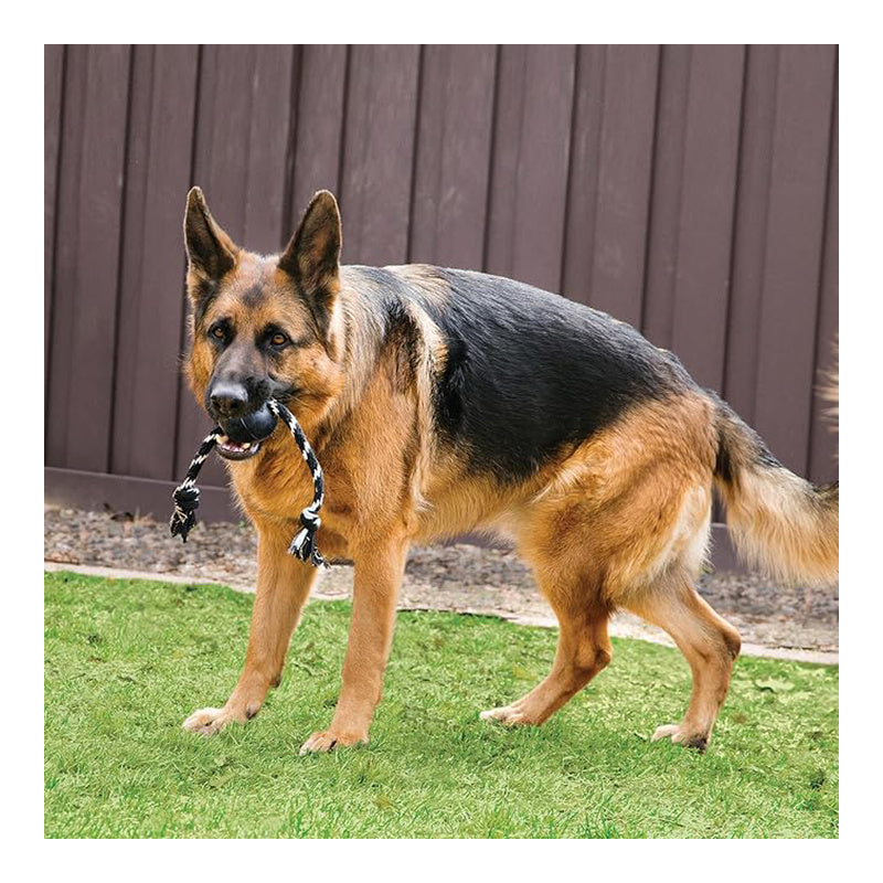 Kong Extreme Ball Dog Toy with Rope (Large)