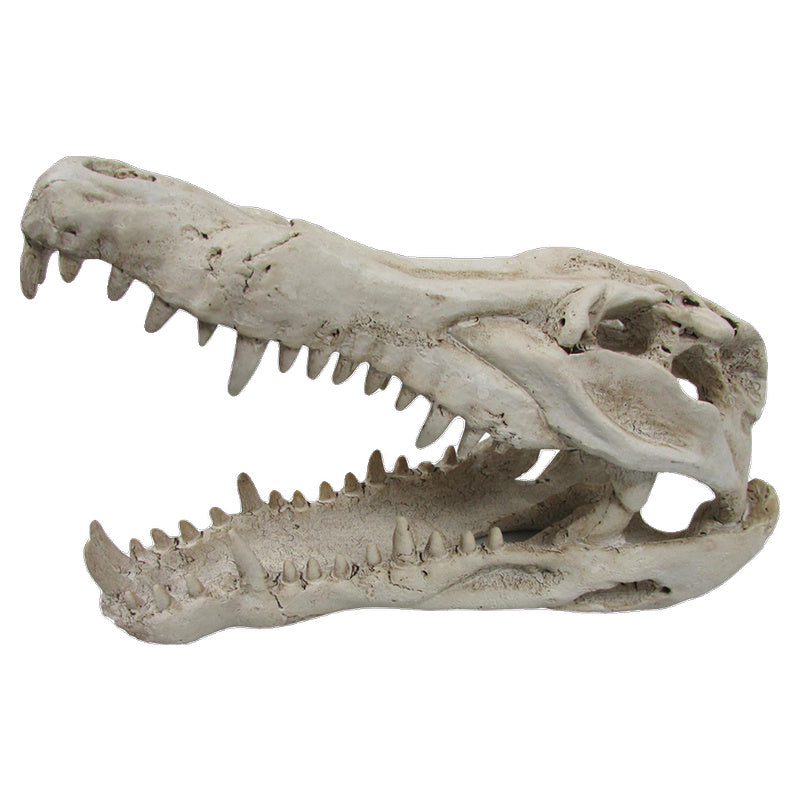 iPetz Croc Skull Reptile Accessory