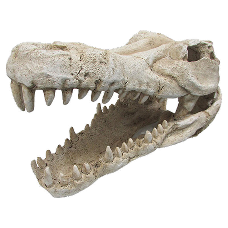 iPetz Croc Skull Reptile Accessory