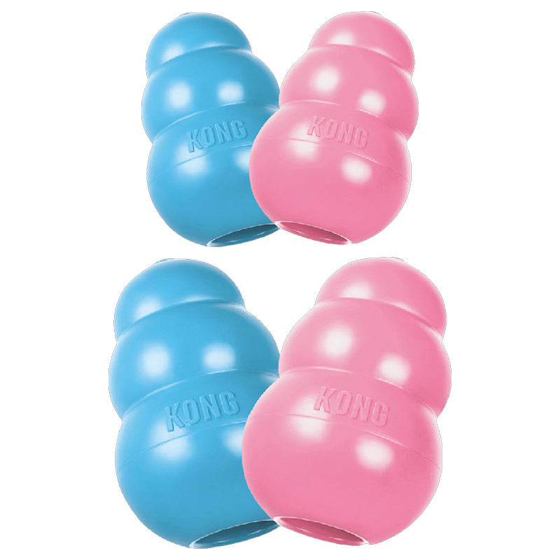Kong Puppy Toy (1pc Random)