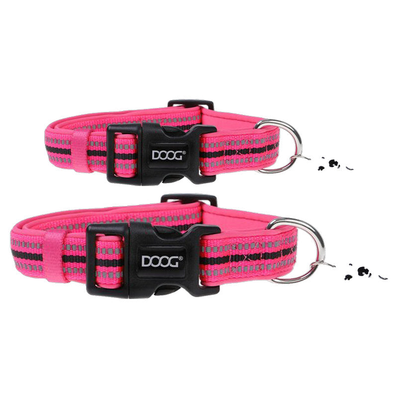 Doog Lady Neon Neoprene Dog Collar