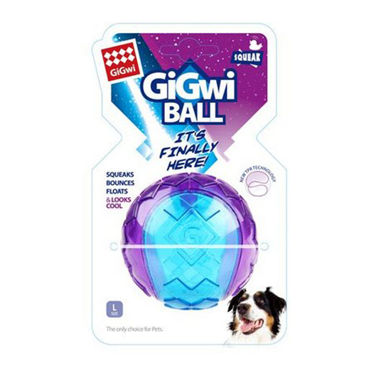 Gigwi Squeaker Ball Dog Toy (Large)