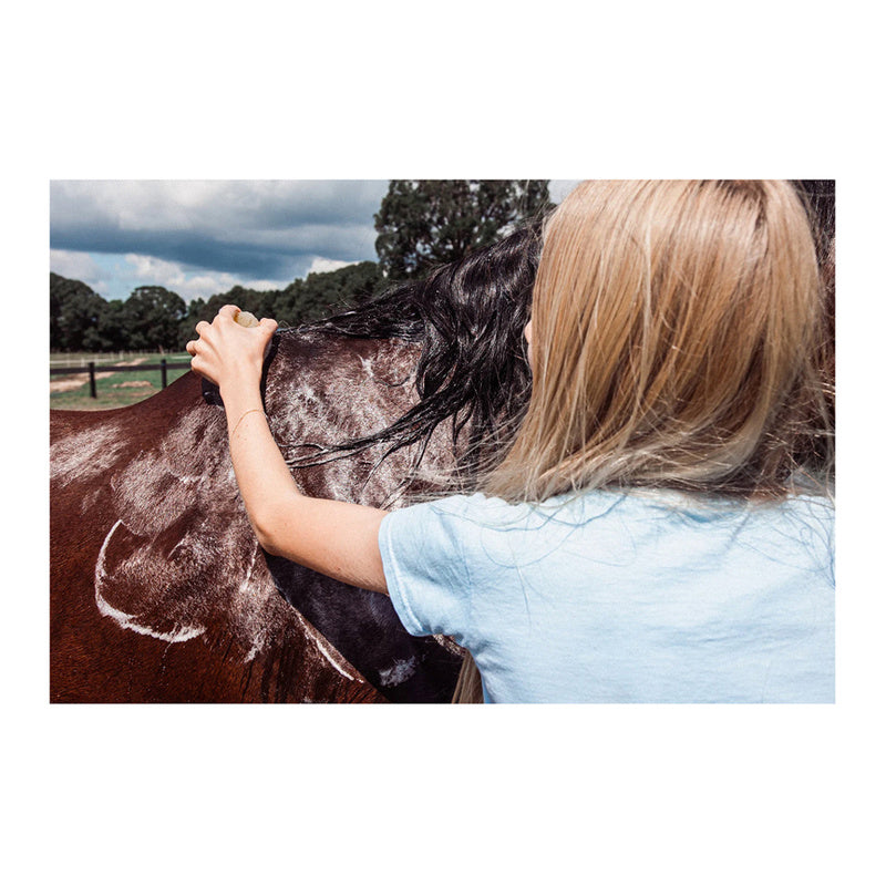 Hemp Collective Horse Shampoo Bar 200g