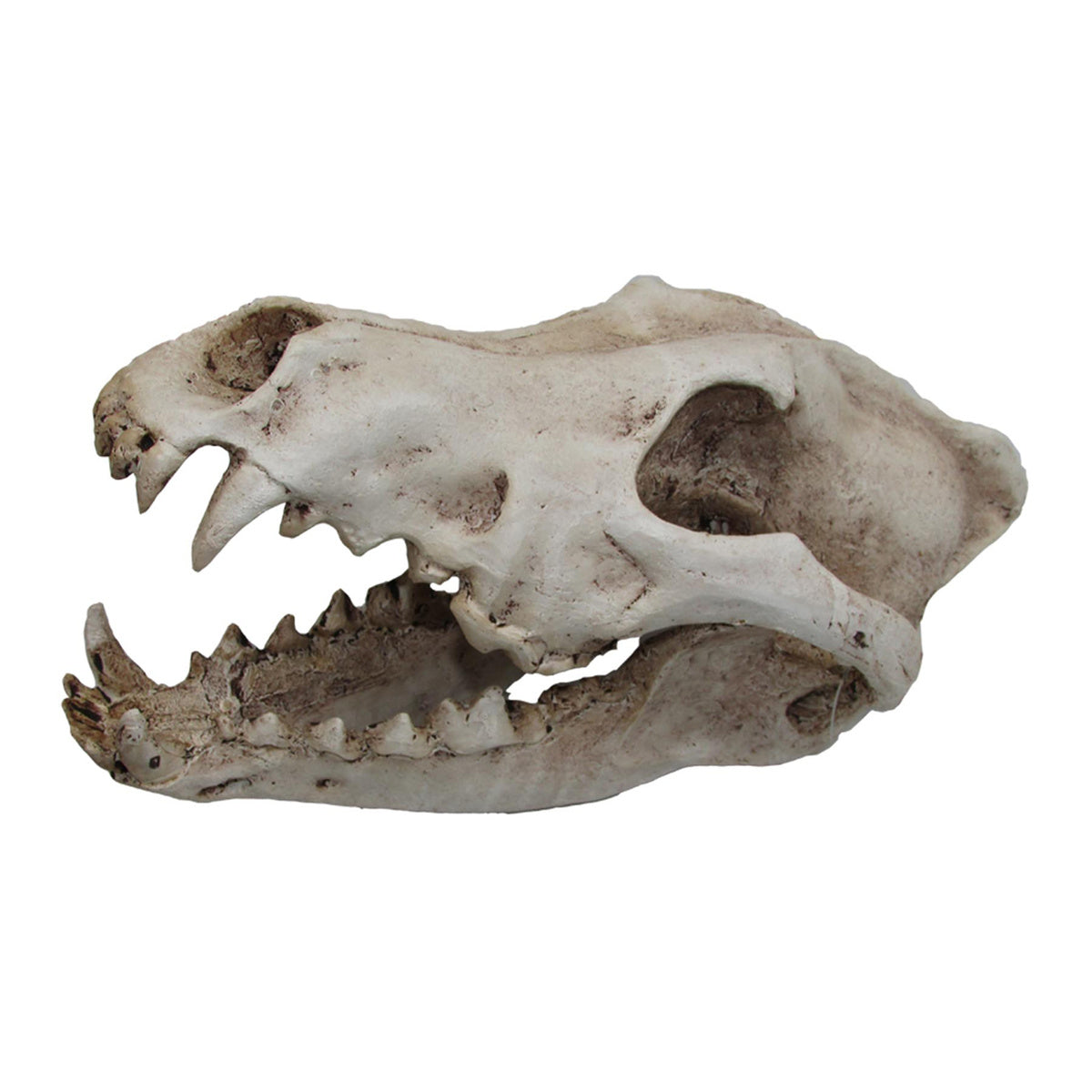 iPetz Ornament Wolf Skull (12x14x14cm)