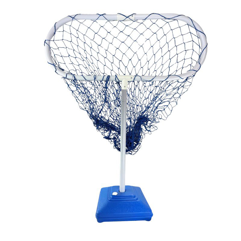 Alliance Air Goal