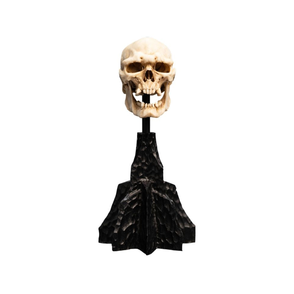 The Lord of the Rings Skull of a Mordor Orc Miniature