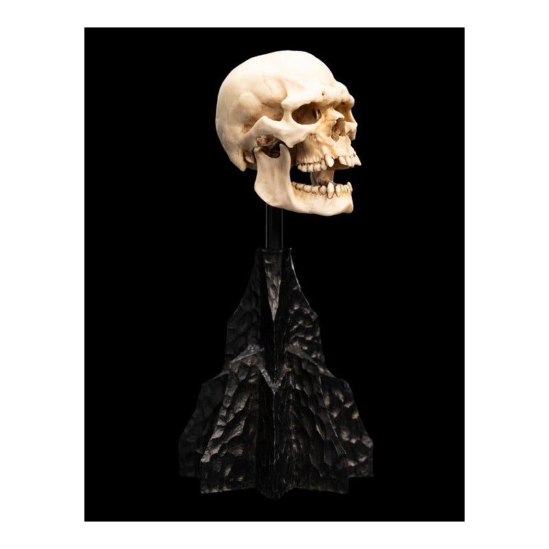 The Lord of the Rings Skull of a Mordor Orc Miniature