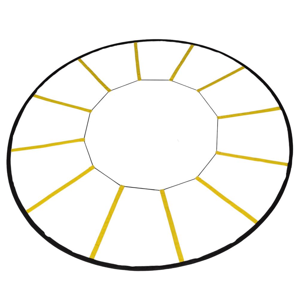 Morgan Spider Agility Ladder