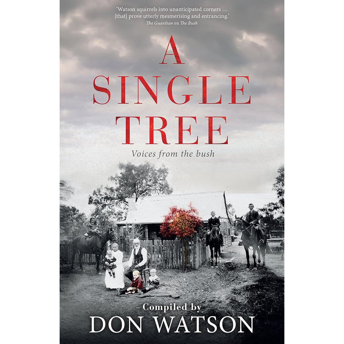Single Tree: Illustrated Storybook