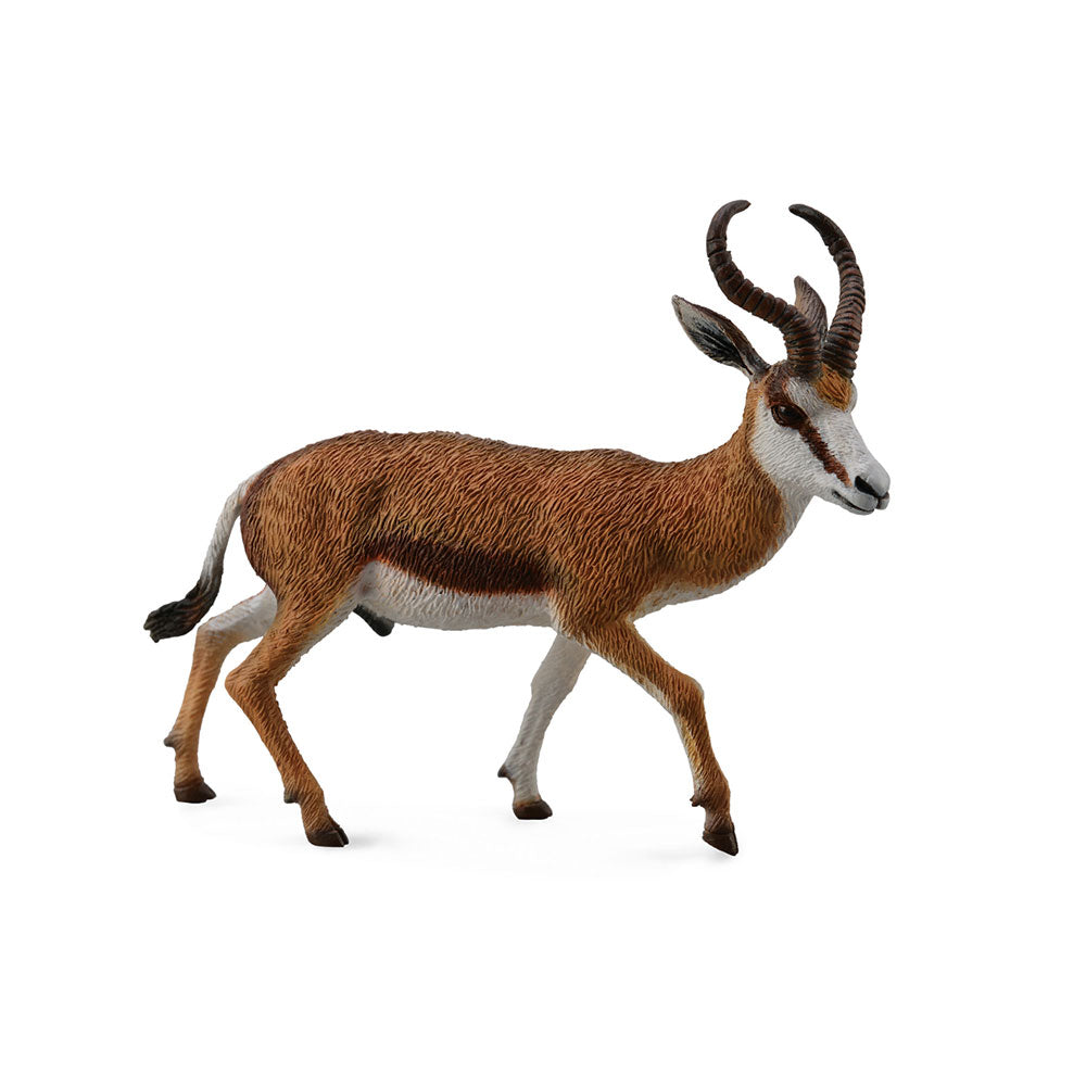 CollectA Springbok Figure (Large)