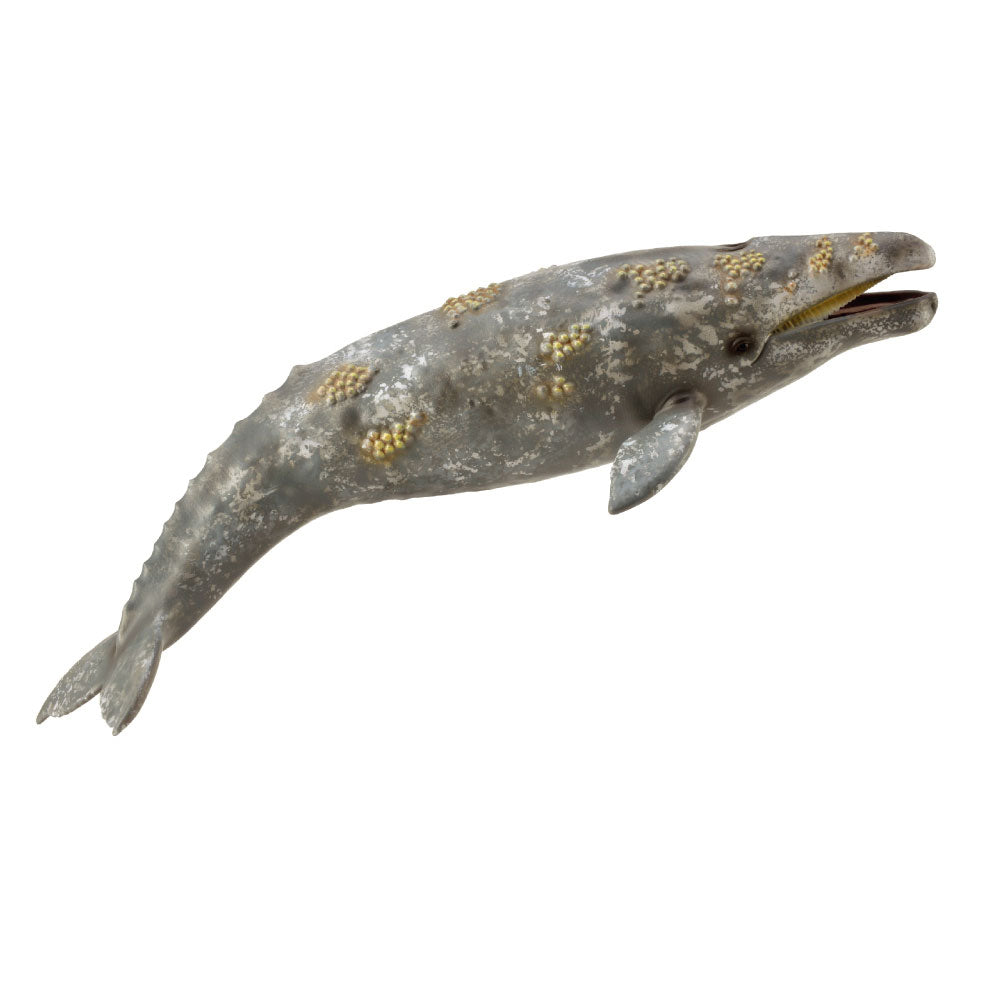 CollectA Gray Whale Figure (Extra Large)