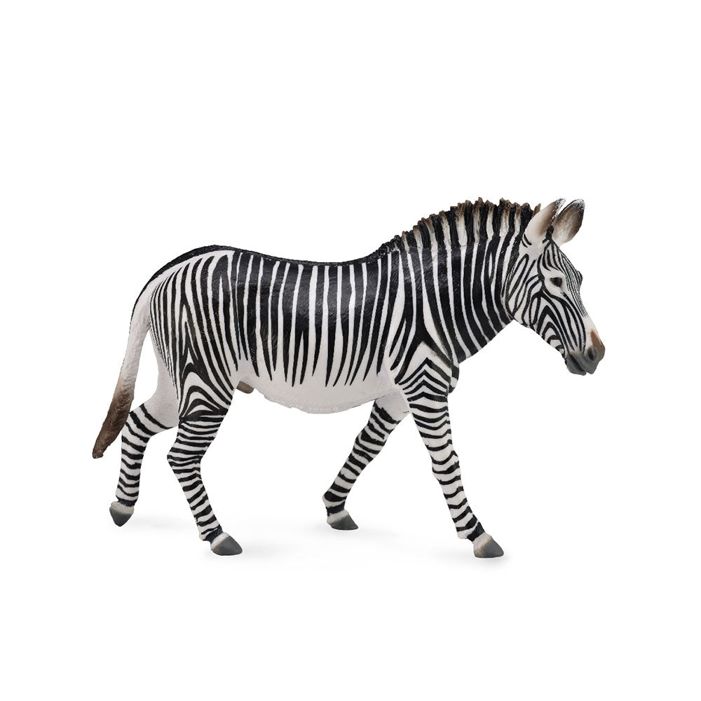 CollectA Grevys Zebra Figure (Extra Large)