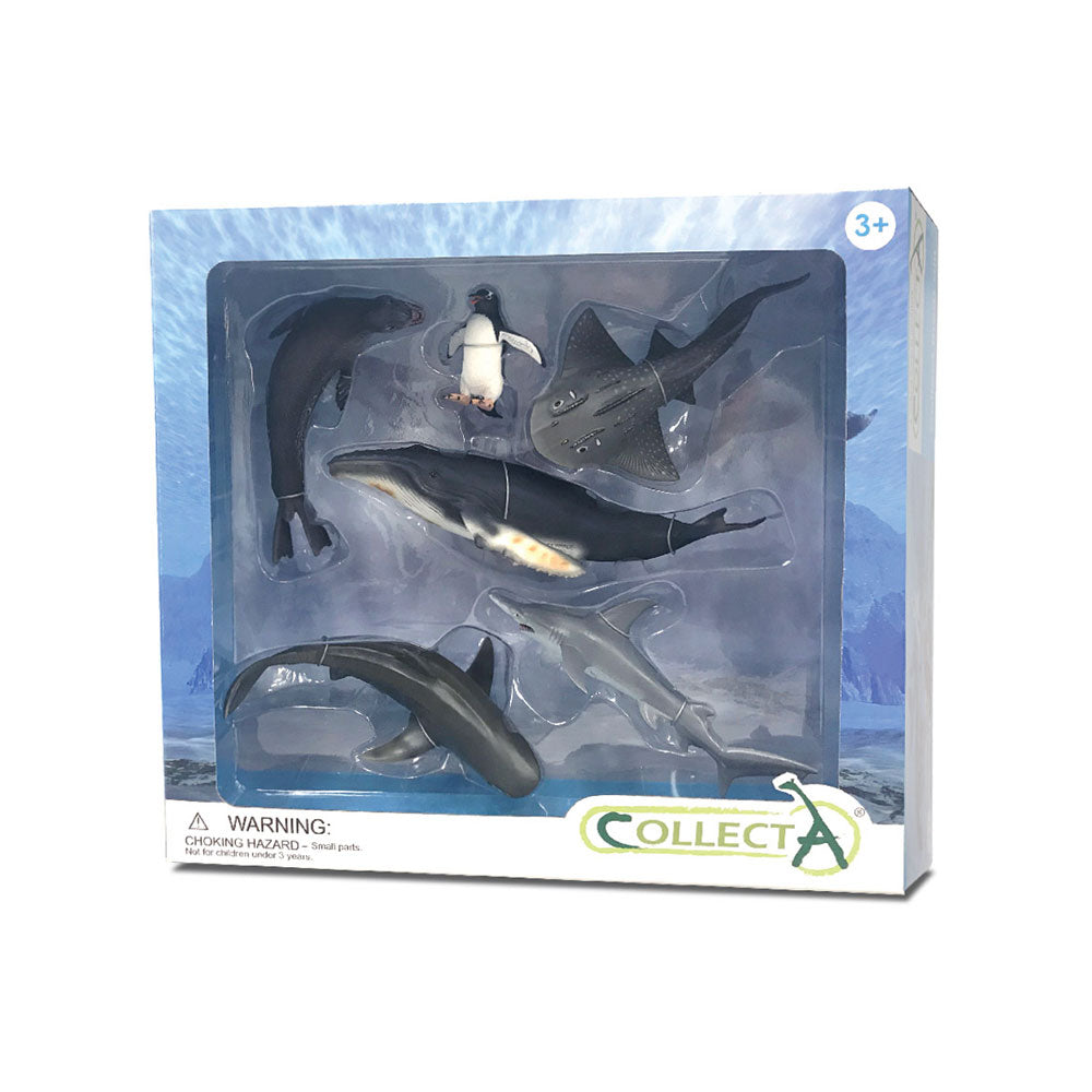 CollectA Sea Animal Figures Gift Set (Pack of 6)