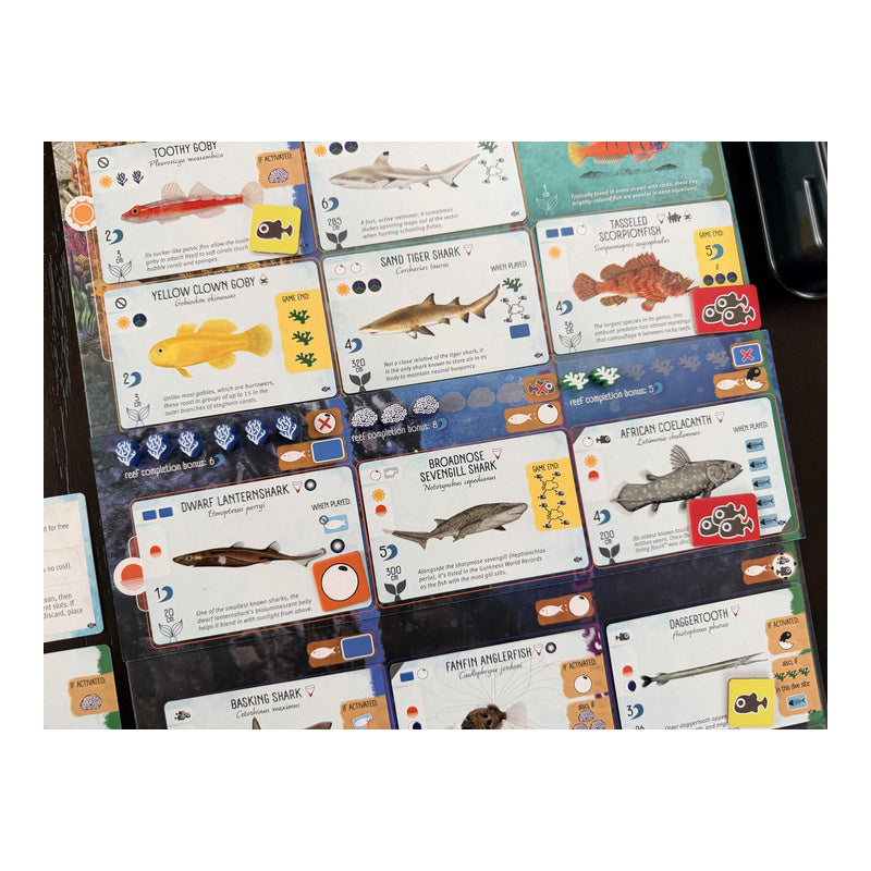 Finspan Sharks & Reefs Expansion