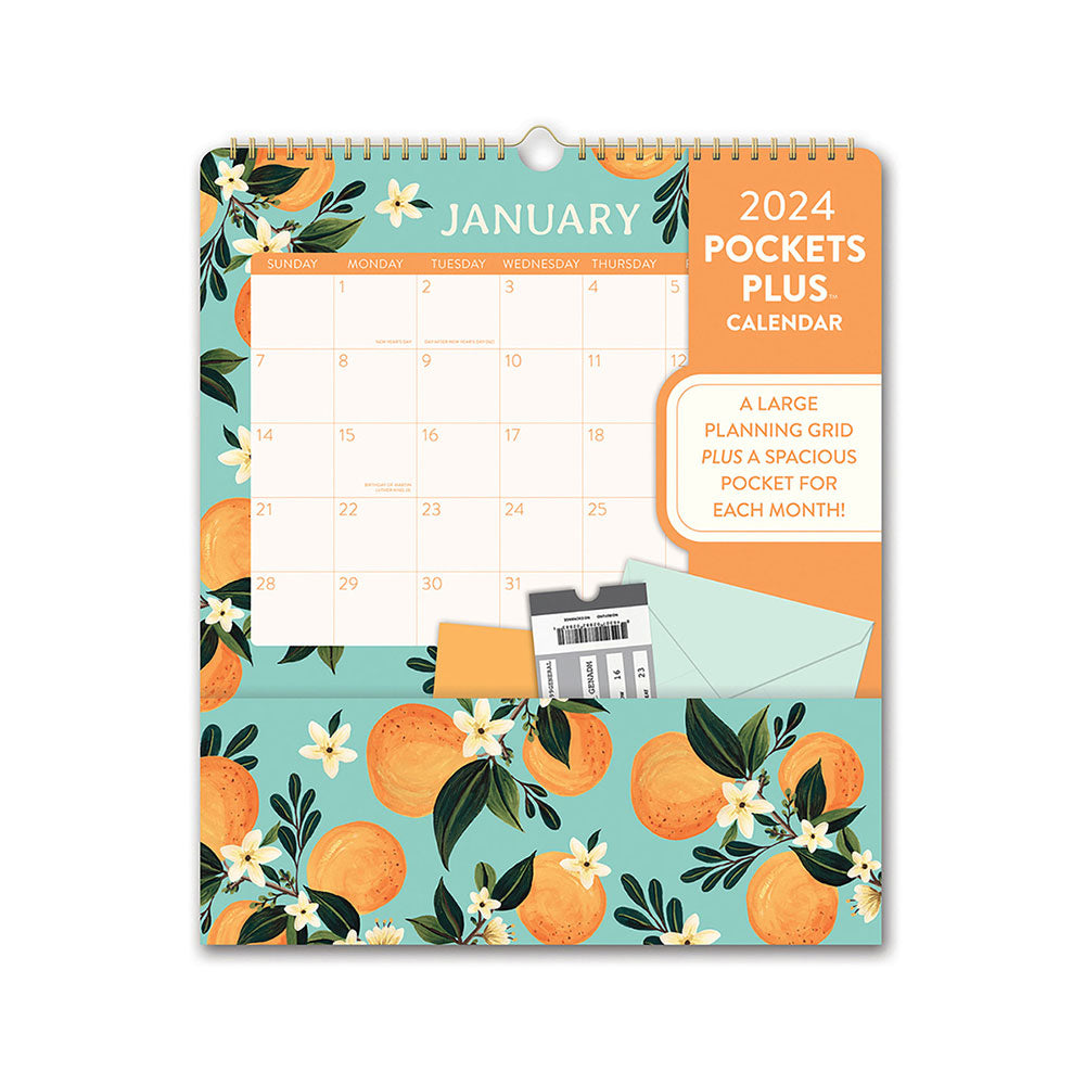 Orange Circle MTV Pockets Plus 2024 Diary