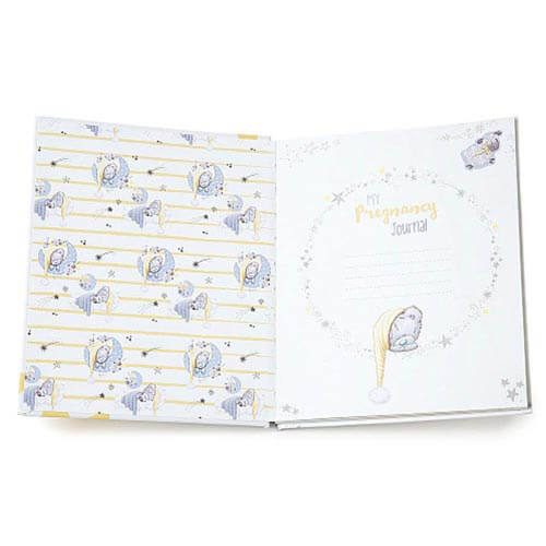 Me To You Tiny Tatty Teddy Pregnancy Journal