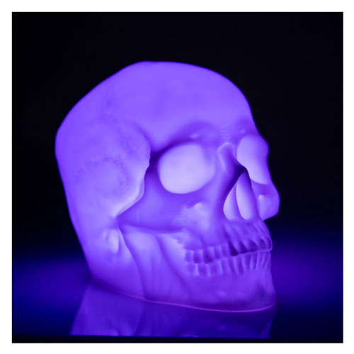 Skull Light Up Speaker