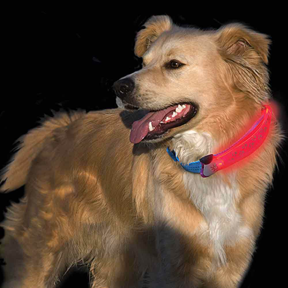 Nite Ize Nite Dawg LED Collar Cover